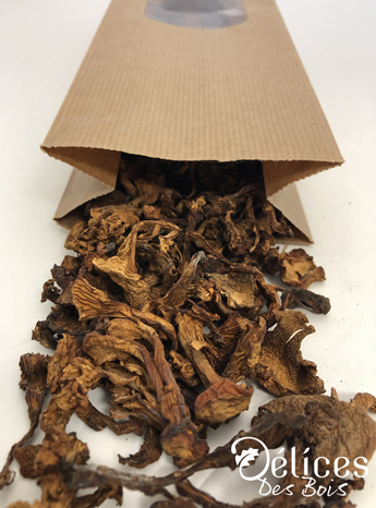 Girolles industrielle