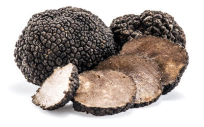 La truffe fraiche